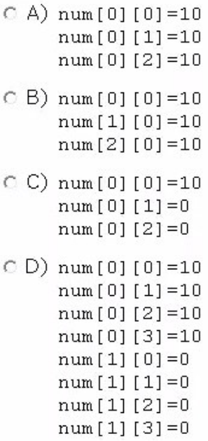 1Z0-808 dumps